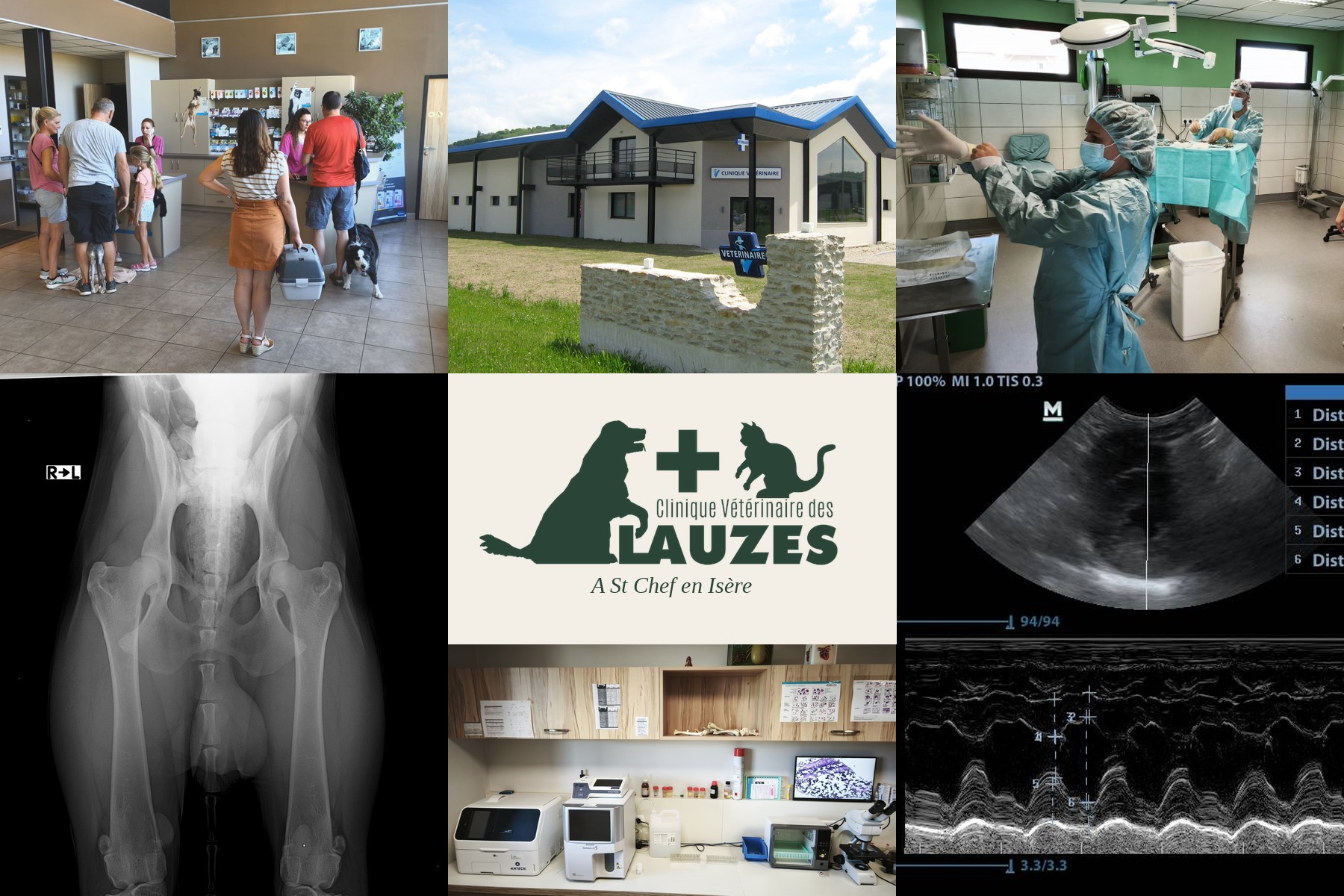 La clinique : bâtiment, accueil, bloc, laboratoire, radiographie et échographie